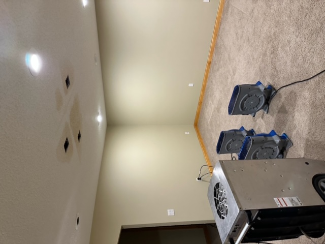 Basement ceiling water damage assessment and restoration Minneapolis